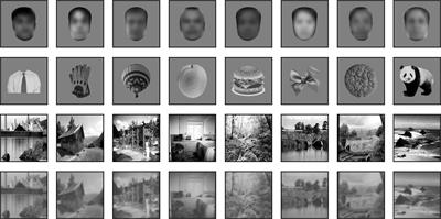 Object recognition in primates: what can early visual areas contribute?